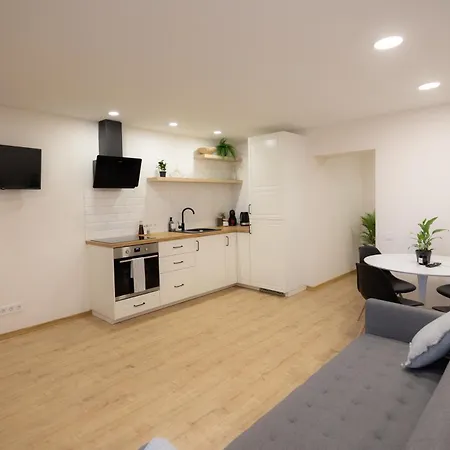 Central Apartament דירה לייפאז'ה